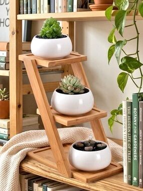 Three Tiered Bamboo Plant Stand with 3 Mini Ceramic Pots Minimalist Hygge Decor